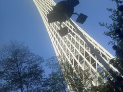 景点-珠江夜游广州塔·中大码头