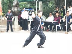 -九龙公园