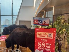 -左庭右院鲜牛肉火锅(京西大悦城店)