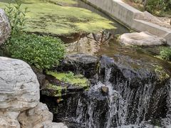 -白水寺森林公园