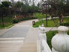 -西海子公园
