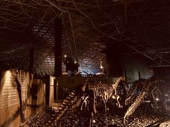 -世界恐龙谷景区