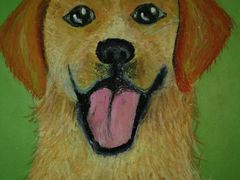 -蒂朵儿童绘画美术教室