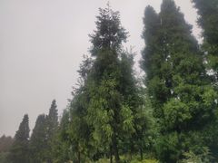 -山王坪喀斯特国家生态公园