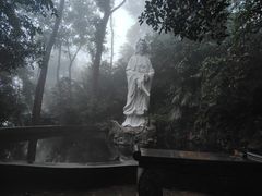 -紫金山山顶公园