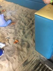 -恐龙探索乐园(磁器口店)