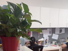 -英孚教育青少儿(河东中心)