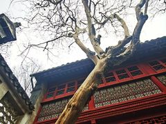 -东山雕花楼