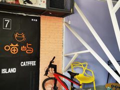 -喵屿·大理花园猫咖