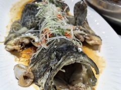 清蒸石斑鱼-大锅强·蒸海鲜青岛菜(金沙滩店)
