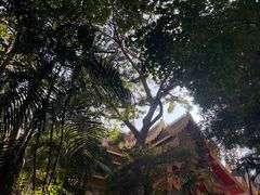 -西双版纳勐泐文化旅游区