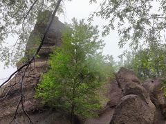 -峡谷浮石林景区