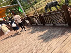 -泉州海丝野生动物世界