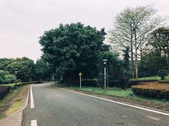 -福建鲤鱼洲酒店