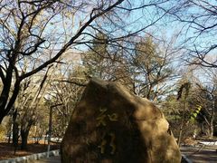 -吉林大学(南岭校区)