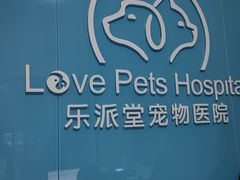 -乐派堂宠物医院·猫友好· 心脏科(东街店)