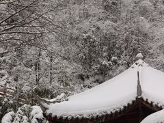-瓦屋山景区