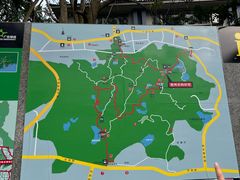 -火炉山森林公园