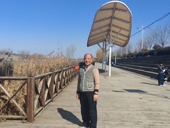-阿五黄河大鲤鱼(河南长垣店)