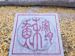 -阳台山自然风景区