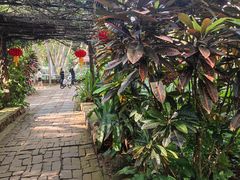 -海南热带野生动植物园