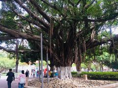 -厦门大学(思明校区)