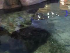 -鸿通城购物中心