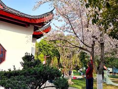 -堤角公园