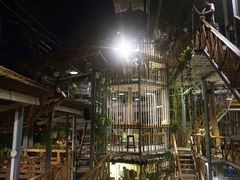 -Rainforest
