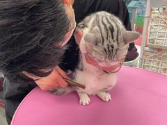 -FAELING PETS美天灵宠物(合生汇店)