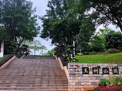 -玉树公园