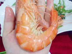 -QQ海鲜餐厅