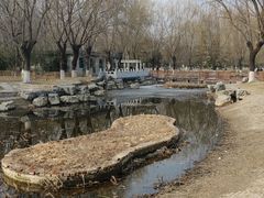 -丰台科技园生态主题公园