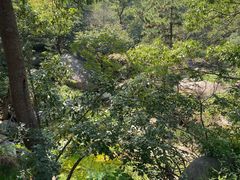 -沂蒙山旅游区云蒙景区(蒙山国家森林公园)