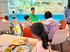 -帝企鹅自助餐厅•儿童岛•真企鹅(长隆企鹅酒店)