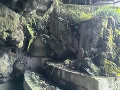 -地心探险极地
