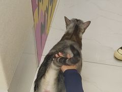 -谜盒子奇幻密室(南屏店)