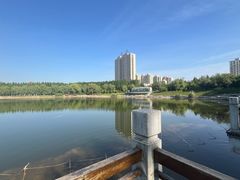 -辽宁对外经贸学院