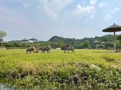 -宁波野生动物园