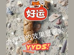 -美联众合动物医院·24h京西诊疗中心