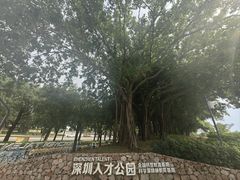 -深圳人才公园