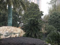 外景-上海浦东星河湾酒店