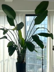 -Hello Lady发型设计