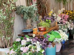 -山海经·海边人家 海鲜新青岛菜(扬州路店)