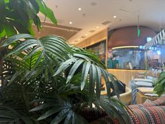 -云海肴·汽锅鸡·云南菜(广安门天虹店)