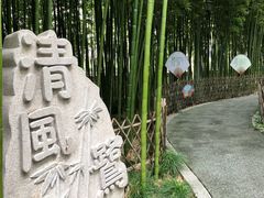 -陈家山荷花公园