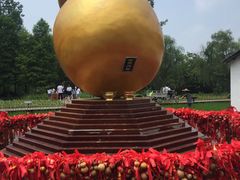 -溱湖国家湿地公园