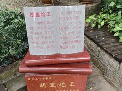 -胡里山炮台