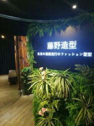 -藤野造型