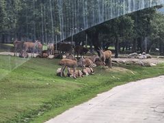 -西安秦岭野生动物园